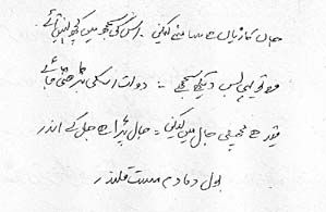ہپی نامہ
